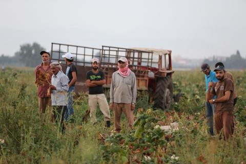syrian refugees bekaa