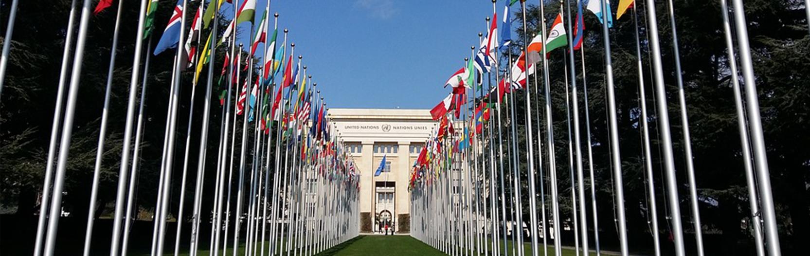 Jordan’s acceptance of Universal Periodic Review recommendations: empty promises or real commitments?