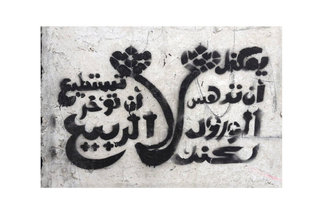 © Bahia Shehab, You May Crush the Flowers, But You Cannot Delay the Spring (verse by poet Pablo Neruda), 2011. Cairo. Calligraffiti.
