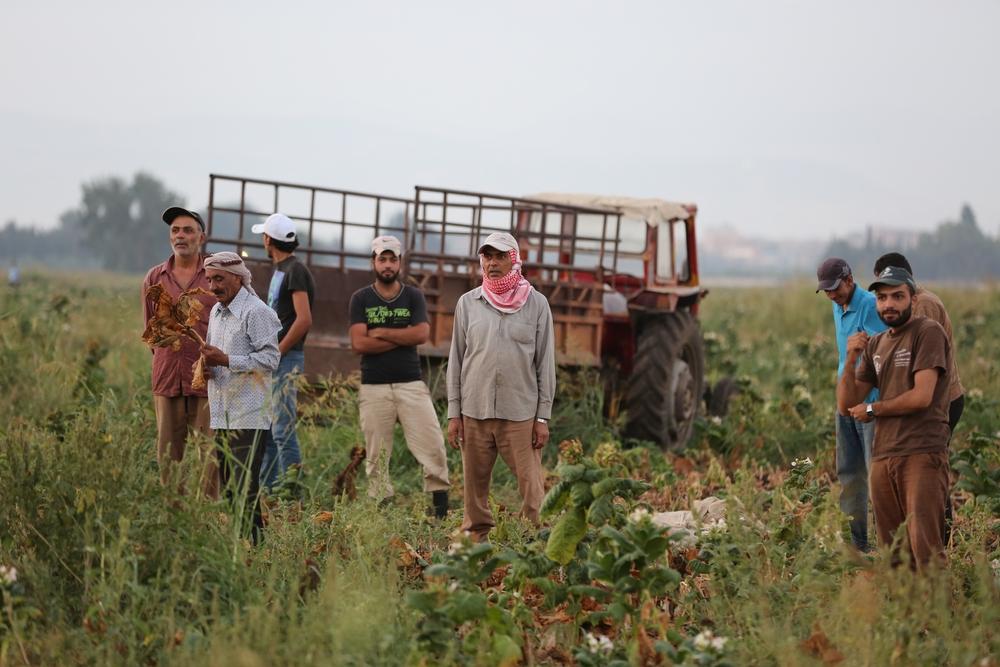 syrian refugees bekaa