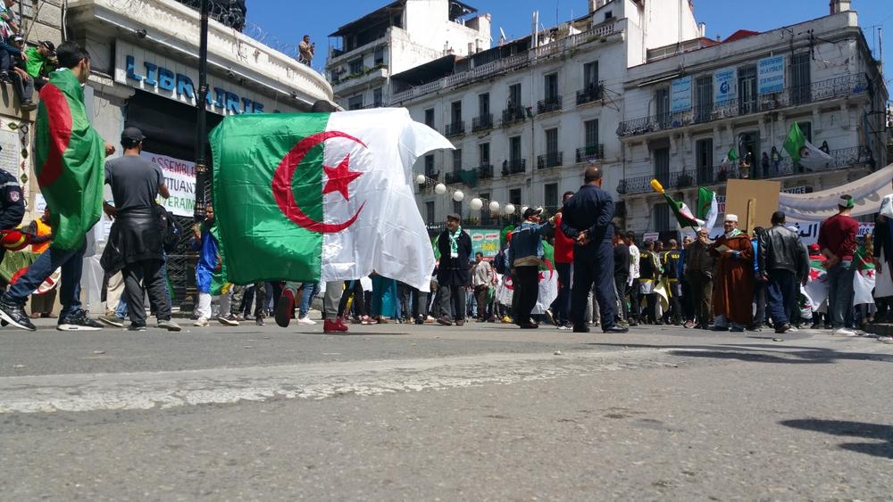 algeria protests
